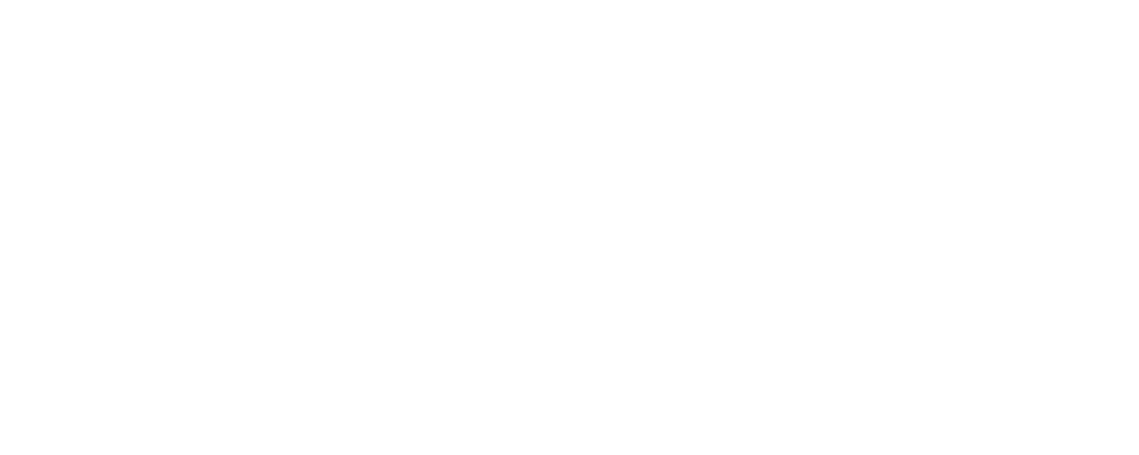 Dingman's tranparent Logo no transparent